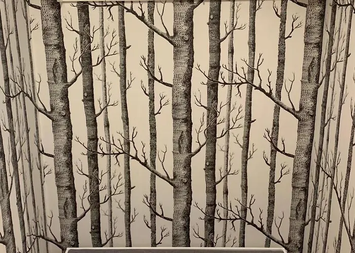 Апартаменты Maladeta *